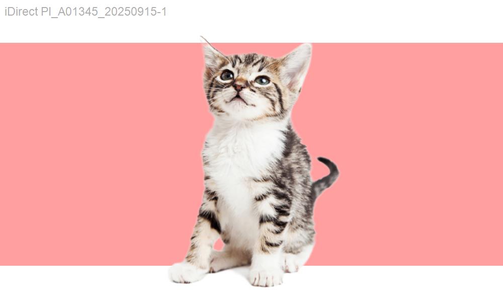 「毛孩新造型？2023年最佳寵物美容店大公開！」